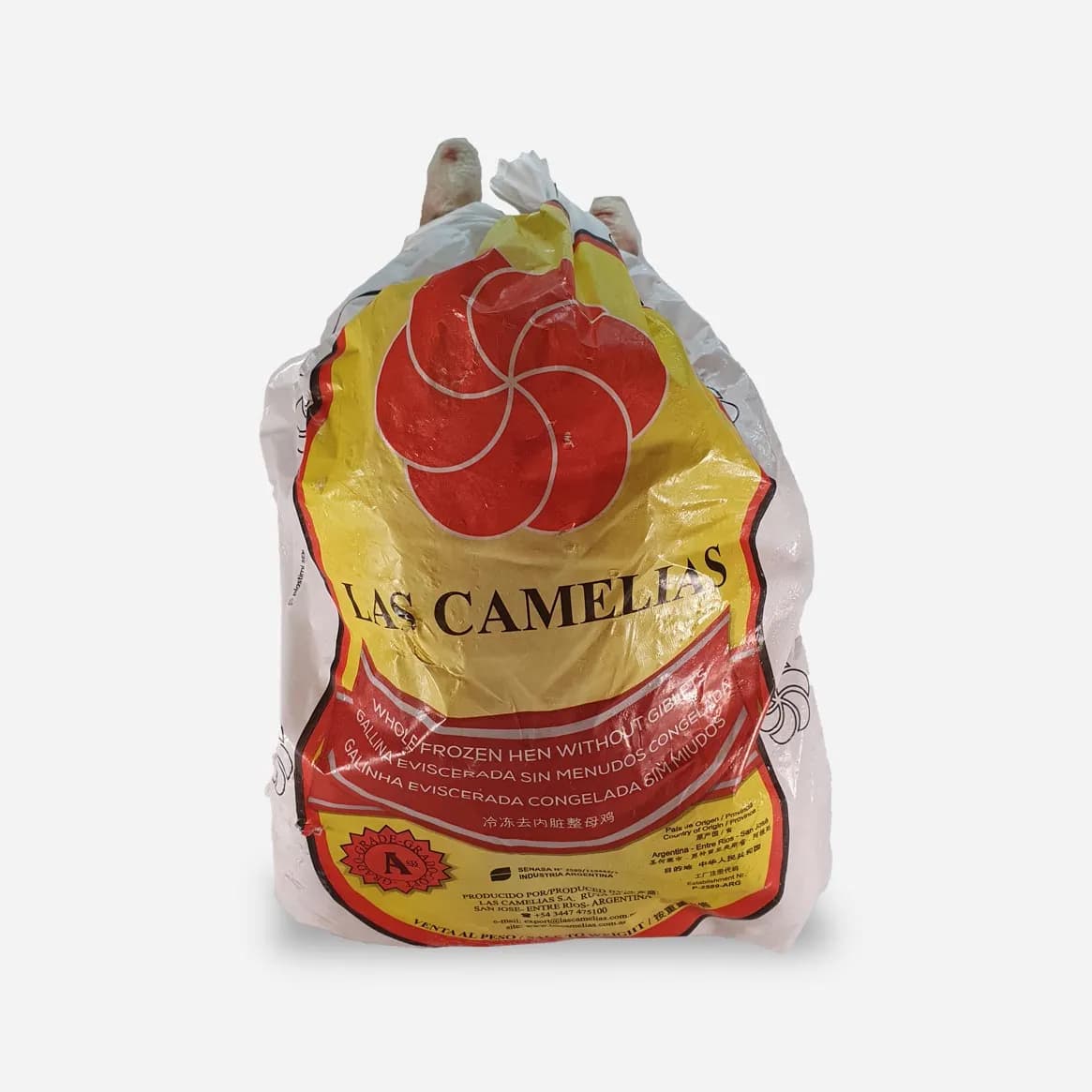 Gallina